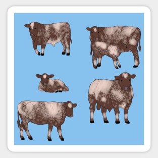 Shorthorn Cattle Pattern Blue Sticker